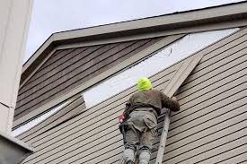 Best Steel Siding Installation  in St Marys, KS